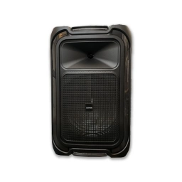 PARLANTE LEIYON BX1253 12" 40W - NEGRO